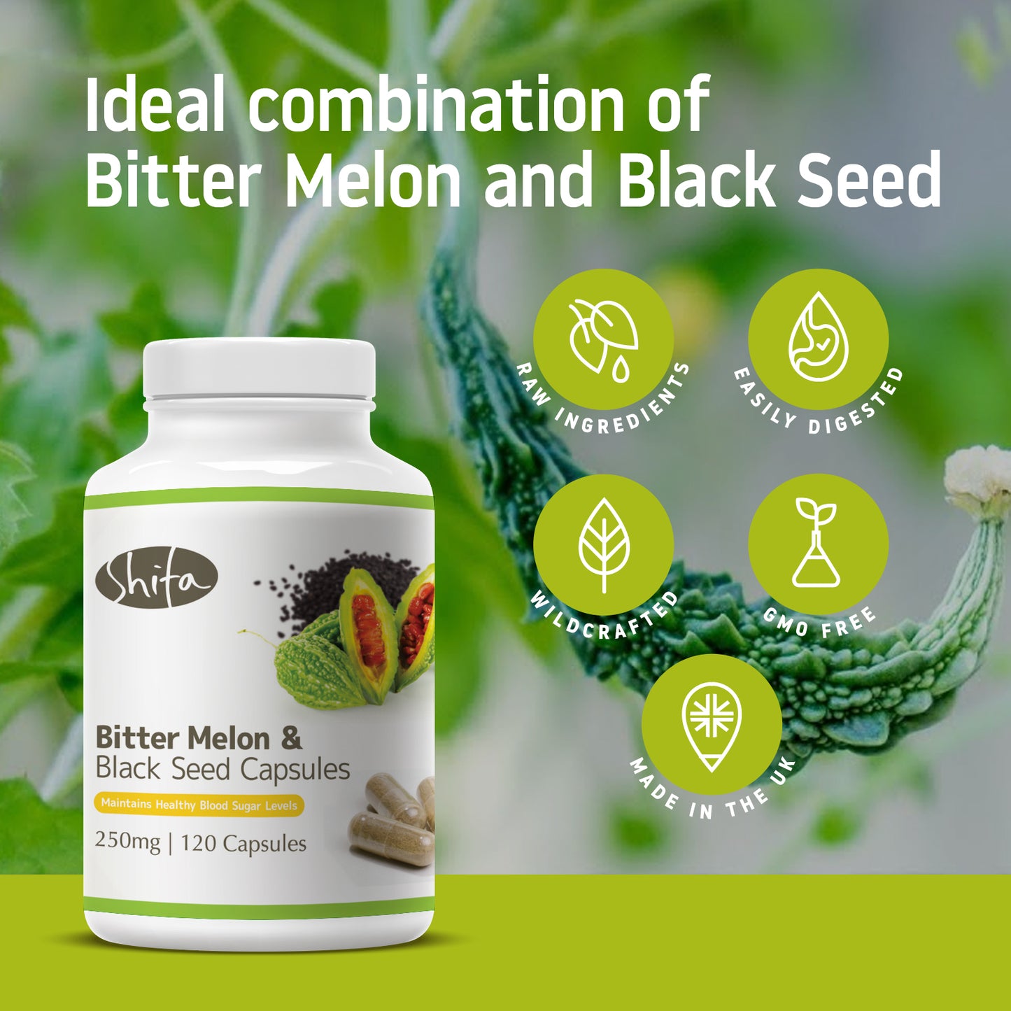 Bitter Melon and Black Seed Capsules (250mg | 120 Caps)