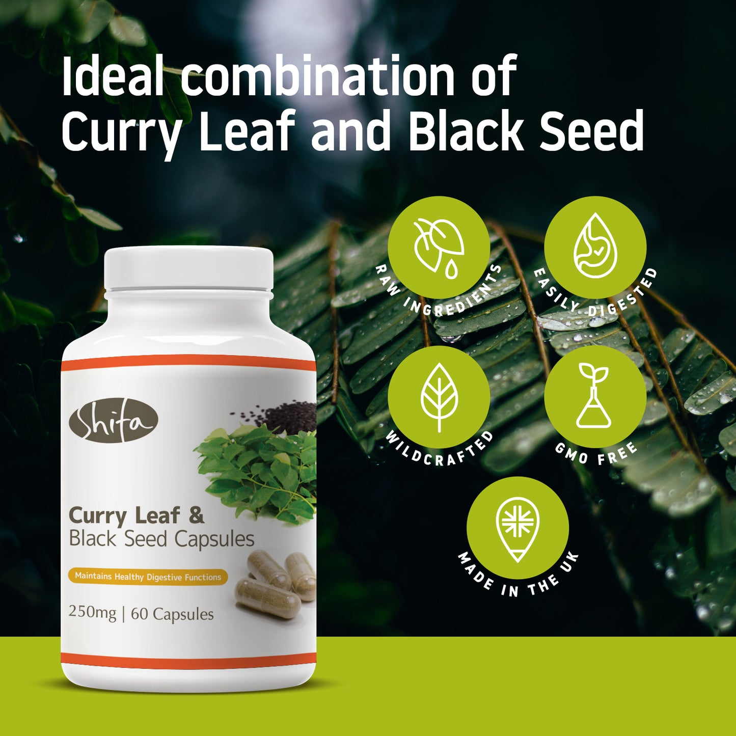 Curry Leaf & Black Seed Capsules (250mg | 60 Caps)